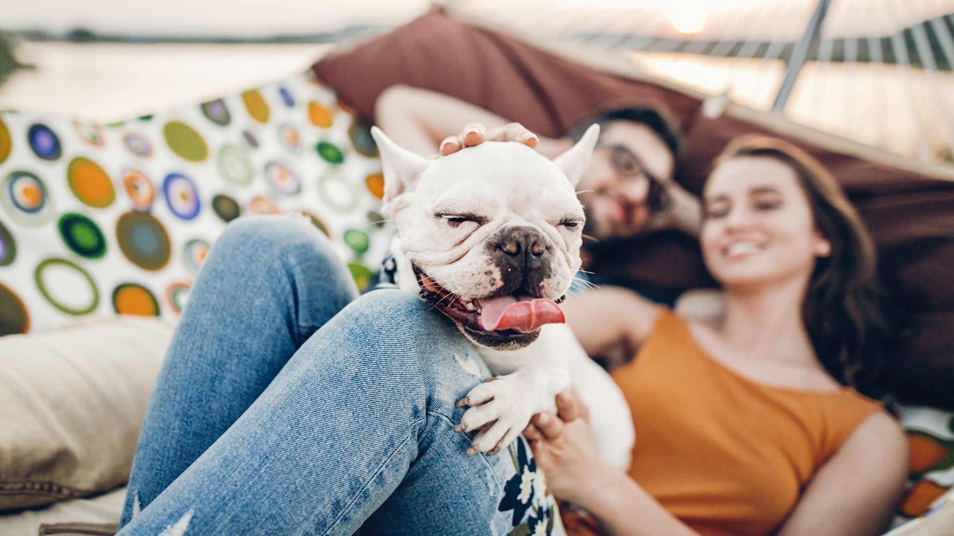 Two happy people relaxing with their dog in a well-maintained house.